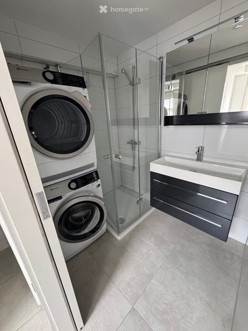 Modern bathroom with a glass-enclosed shower, a white sink with a mirror, and a stacked washer/dryer unit.