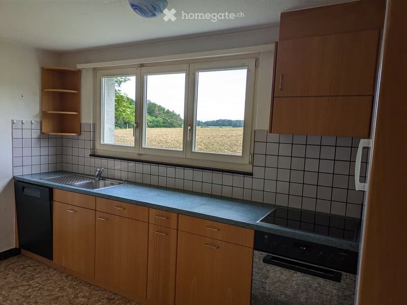 Kitchen with wooden cabinets, tiled walls, countertop, sink, dishwasher, and oven. Large windows offer a view of a field.
