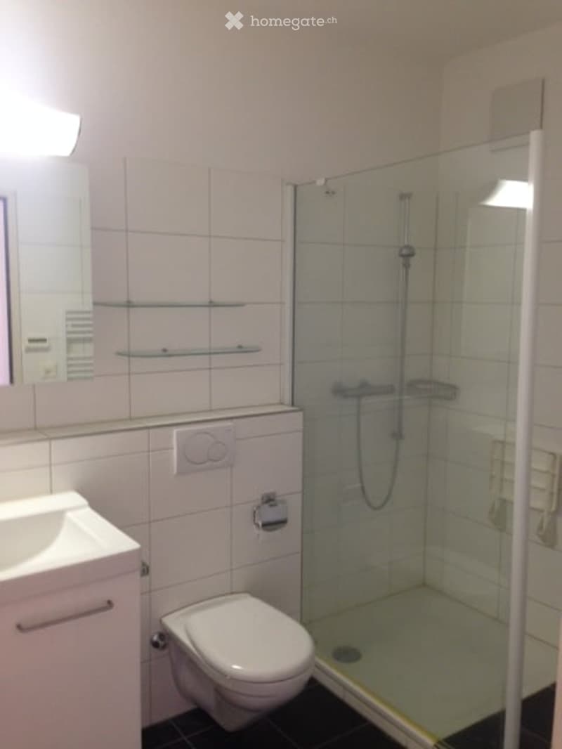 Modern bathroom with white tiles, a glass-enclosed shower, a toilet, a sink, and a mirror. Shelves are mounted on the wall above the sink.