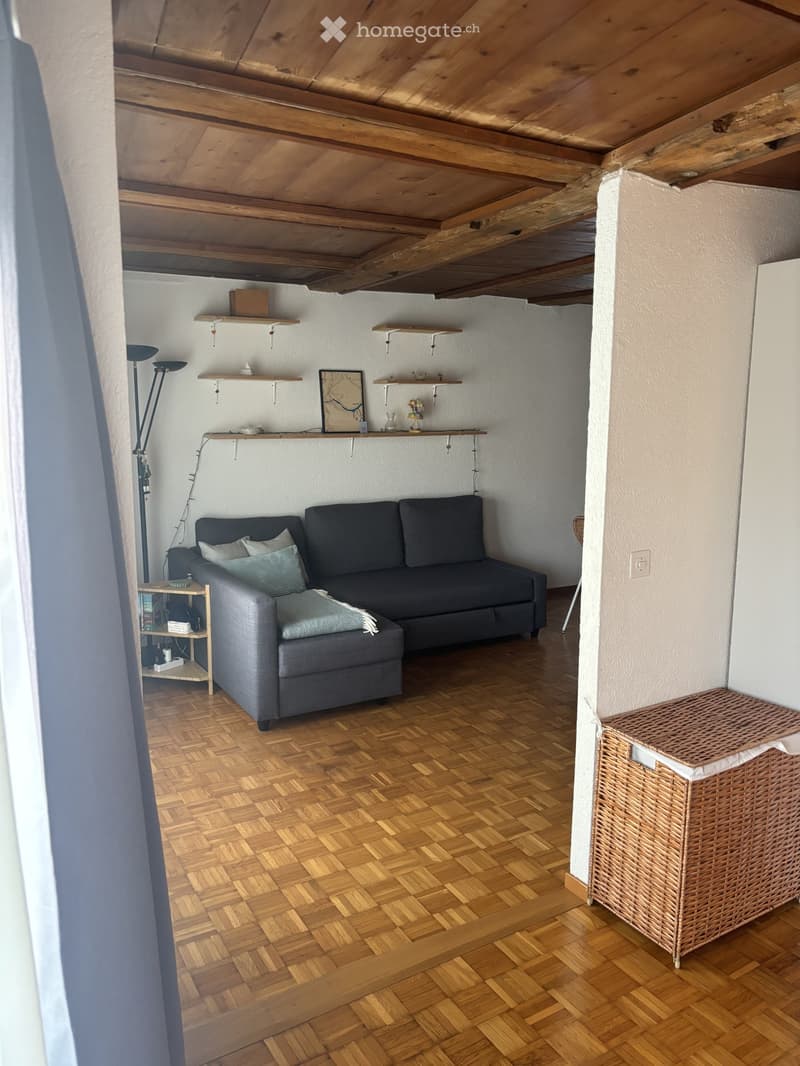 Cozy living room with wooden herringbone flooring, dark grey sectional sofa, side table, floor lamp, and built-in shelves with decorative items.