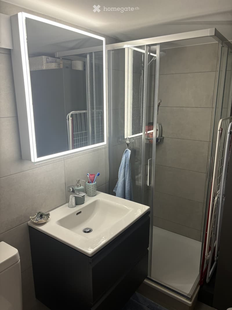 Modern bathroom with a white sink, mirror with LED lighting, toothbrush holder, and a glass-enclosed shower. A towel hangs on the shower door, and a decorative bowl sits on the sink counter.