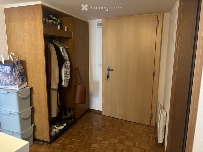 A narrow hallway with wooden flooring, a built-in wardrobe with hanging clothes and shelves, and a small storage area with stacked bins and shoes.