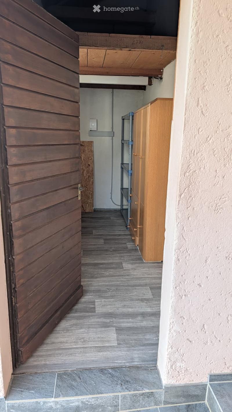A narrow hallway with wooden cabinets on one side and a wooden door on the other, featuring a combination of wooden and tiled flooring.