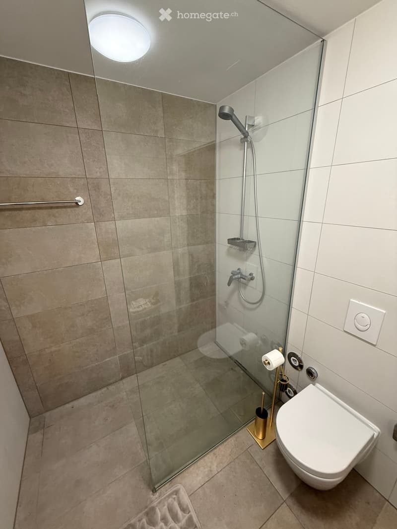 Modern bathroom with a glass-enclosed shower, toilet, towel rack, and a round ceiling light.