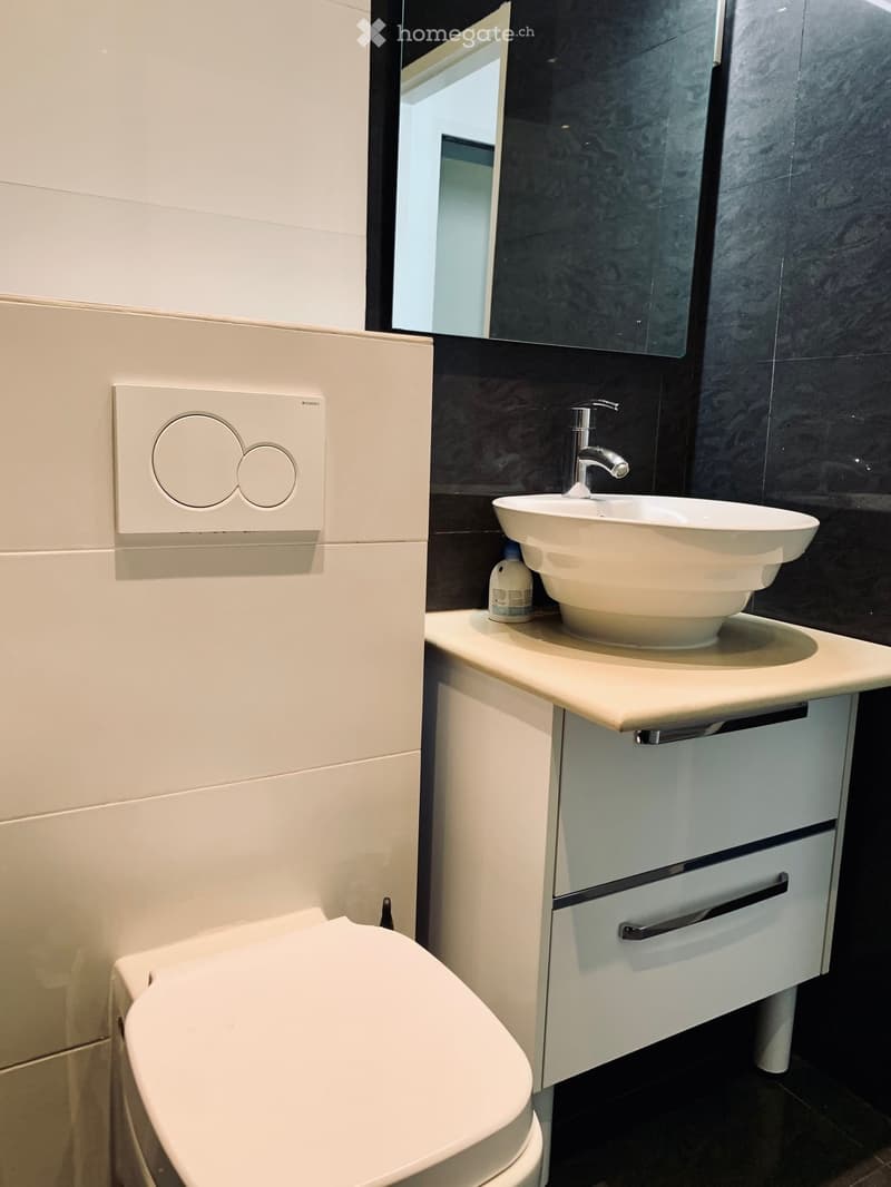 Modern bathroom with a white toilet, a white sink with a modern faucet, a mirrored cabinet, and a sleek white cabinet with two drawers.