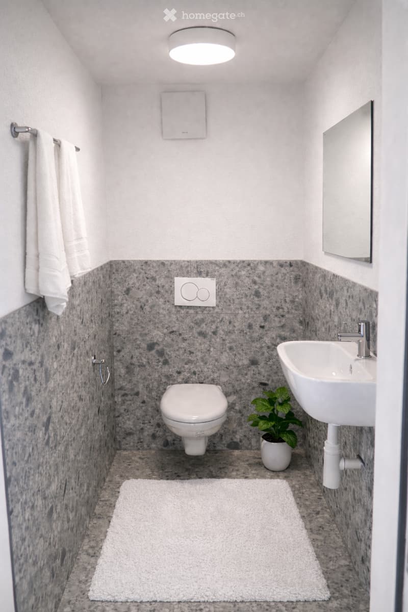 small bathroom with floor tiles, a toilet, a sink, a mirror, a potted plant, and a rug