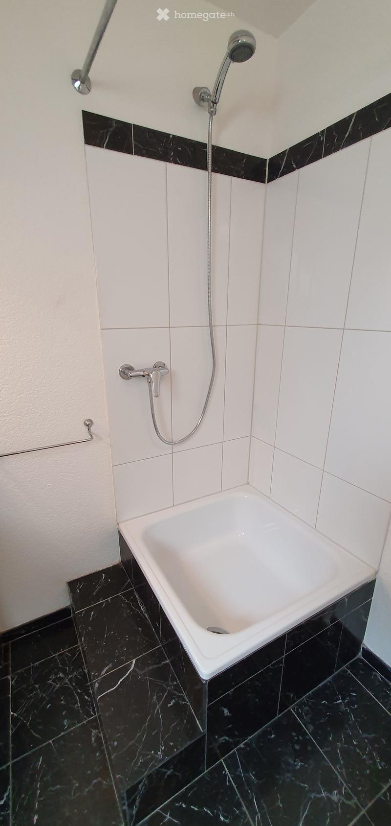 Modern bathroom with a white bathtub, black marble tiles, and a handheld showerhead with a handheld hose.