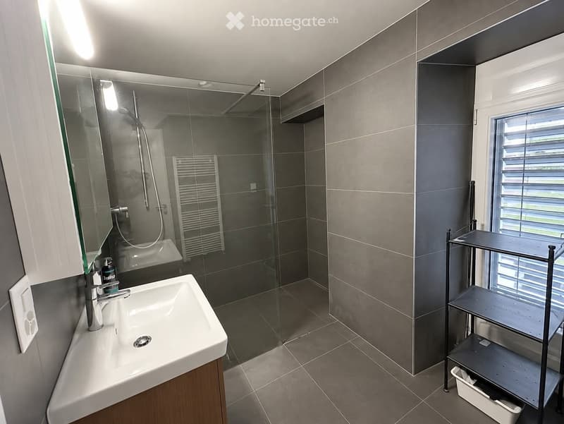 Modern bathroom with a white sink, chrome faucet, large mirror, glass-enclosed shower, and a towel rack. The room features grey tiled walls and a window with blinds.