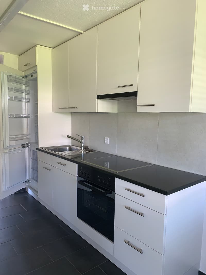 Modern kitchen with white cabinets, black countertops, stainless steel sink, and built-in appliances including a refrigerator and oven.