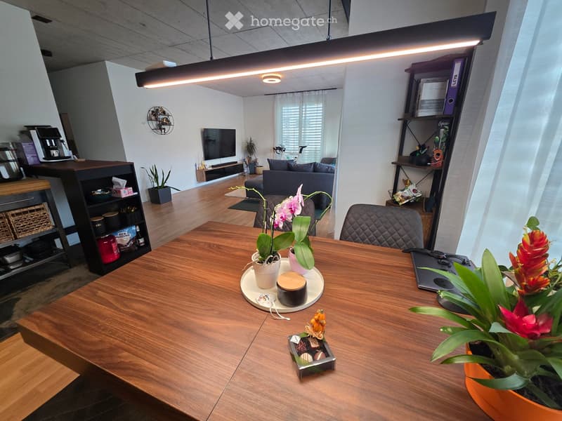 Modern living room with a large wooden dining table, sofa, TV, shelves, and decorative plants.