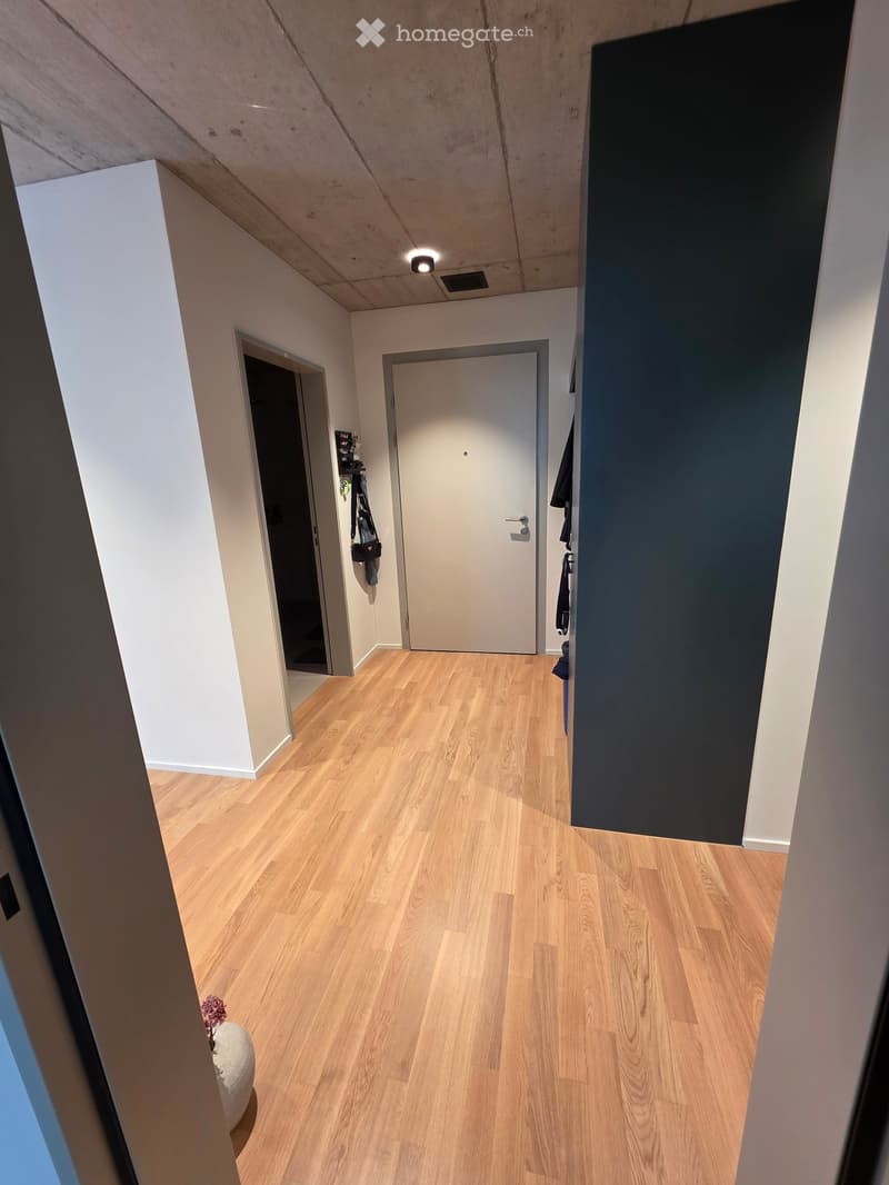 A modern hallway with light wooden flooring, white walls, and a sleek design. Features include a closed door at the end, a coat rack with bags, and a small decorative pot with a flower on the left side.