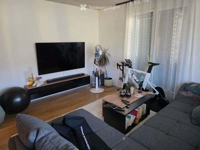 Living room with a sofa, coffee table, exercise ball, fan, and a bicycle trainer in the corner.