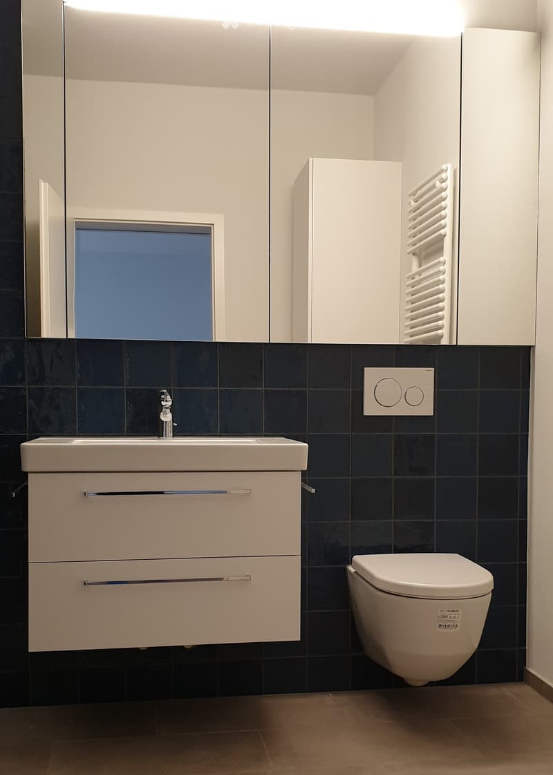 Modern bathroom with a white sink, chrome faucet, toilet, mirrored cabinet, and a white radiator. Dark blue tiles on lower walls and light wood flooring.