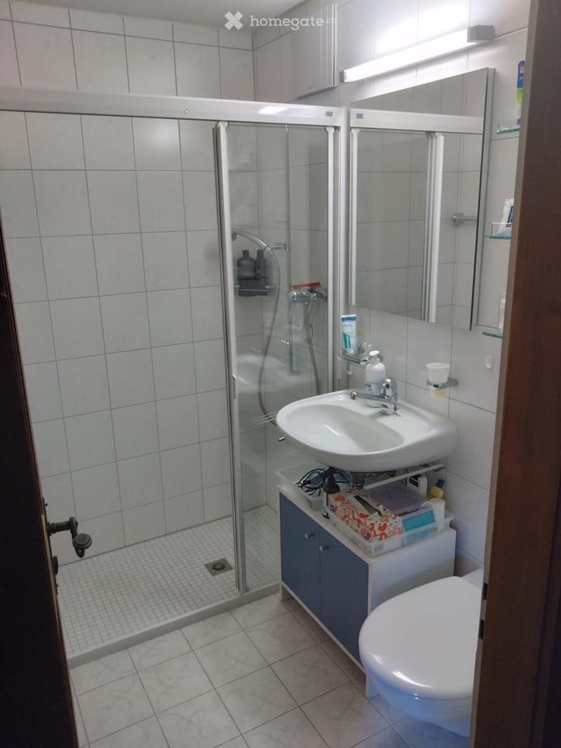Modern bathroom with white tiles, a glass-enclosed shower, a sink with a mirror, and a toilet. The sink has a cabinet underneath with various toiletries.