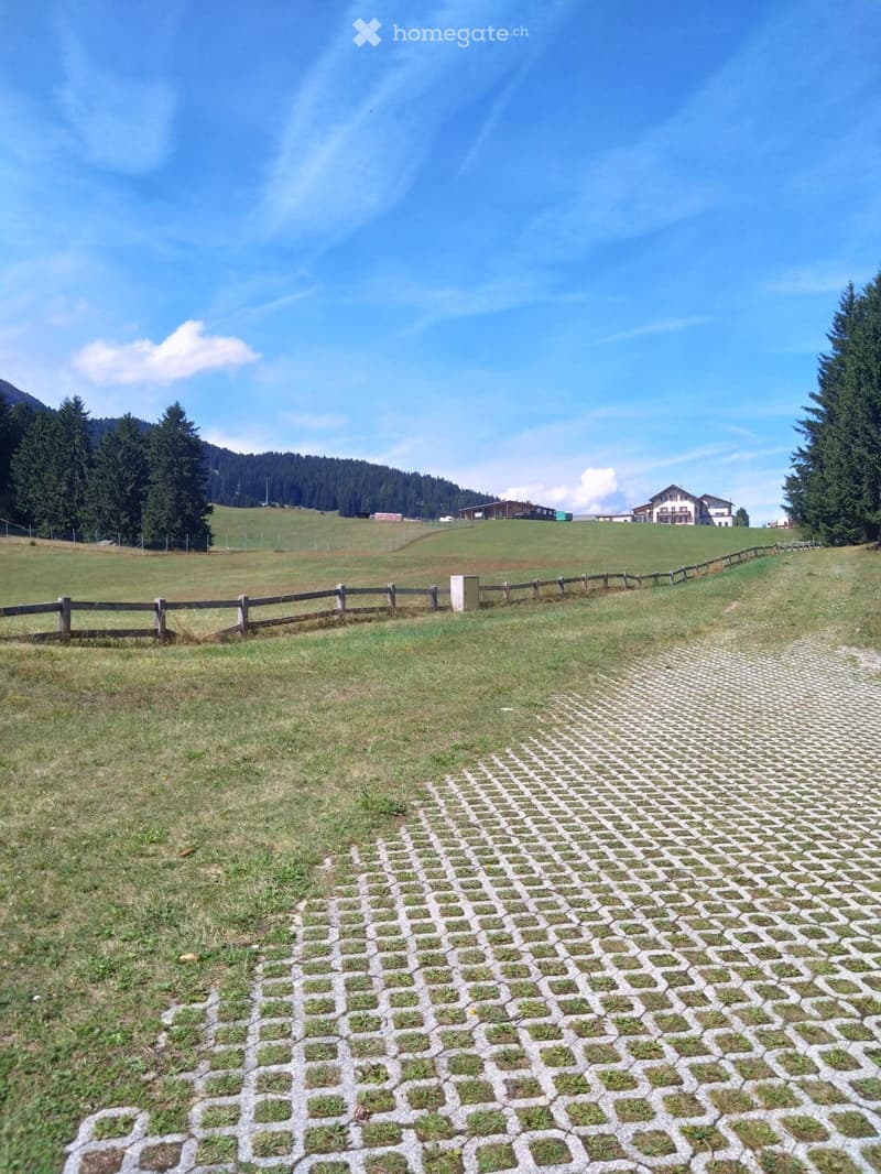 A grassy field with a stone pathway leading towards a wooden fence, with trees and distant houses visible in the background.