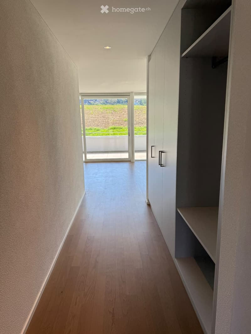Modern hallway with wooden flooring, white walls, built-in shelving unit, and large glass door leading to outdoor area.