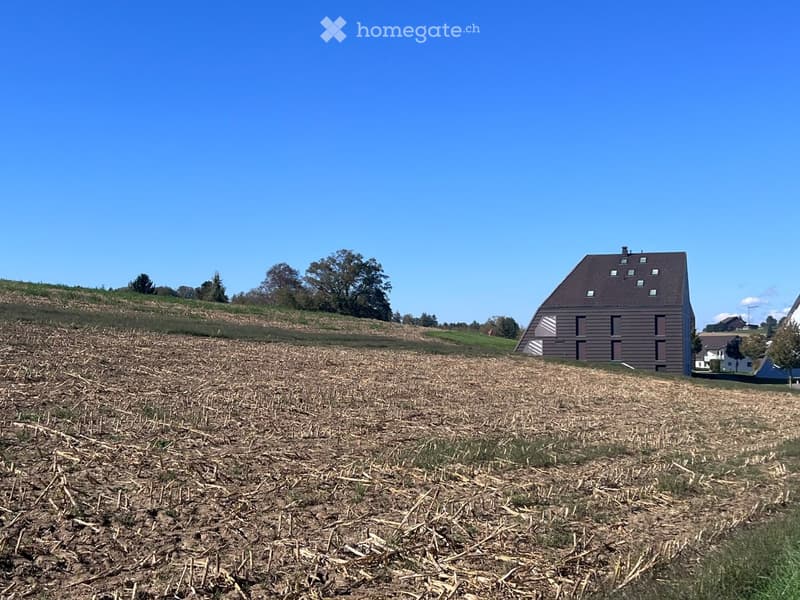 Modern house with a sloped roof and large windows, situated on a raised ground floor in a rural field.