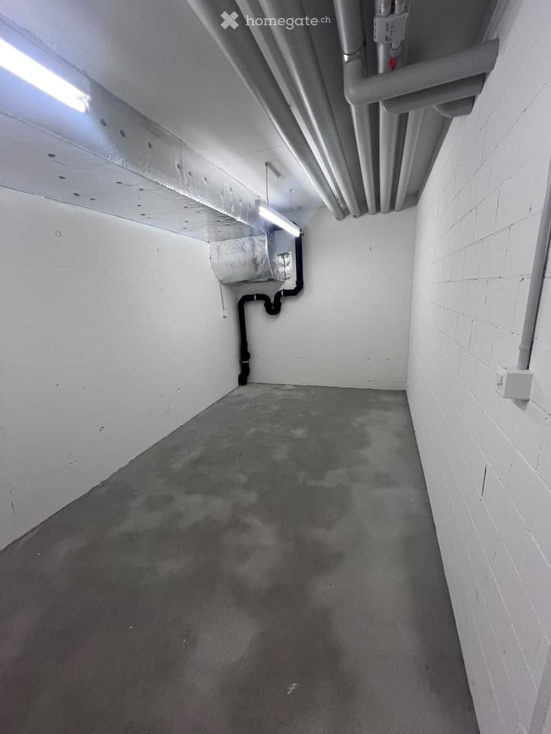 Empty basement space with concrete floor, white brick walls, exposed pipes, and minimal lighting.