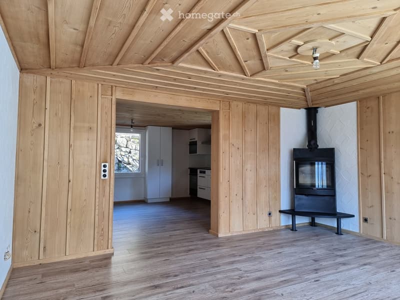Bright, open room with wooden walls and ceiling, featuring a modern fireplace and a view of a kitchen area through an open doorway.