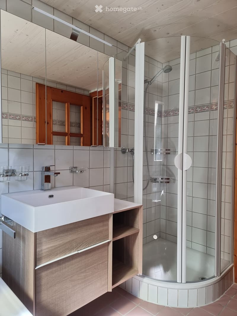 Modern bathroom with a white sink, wooden cabinet, glass shower enclosure, and a large mirror above the sink.