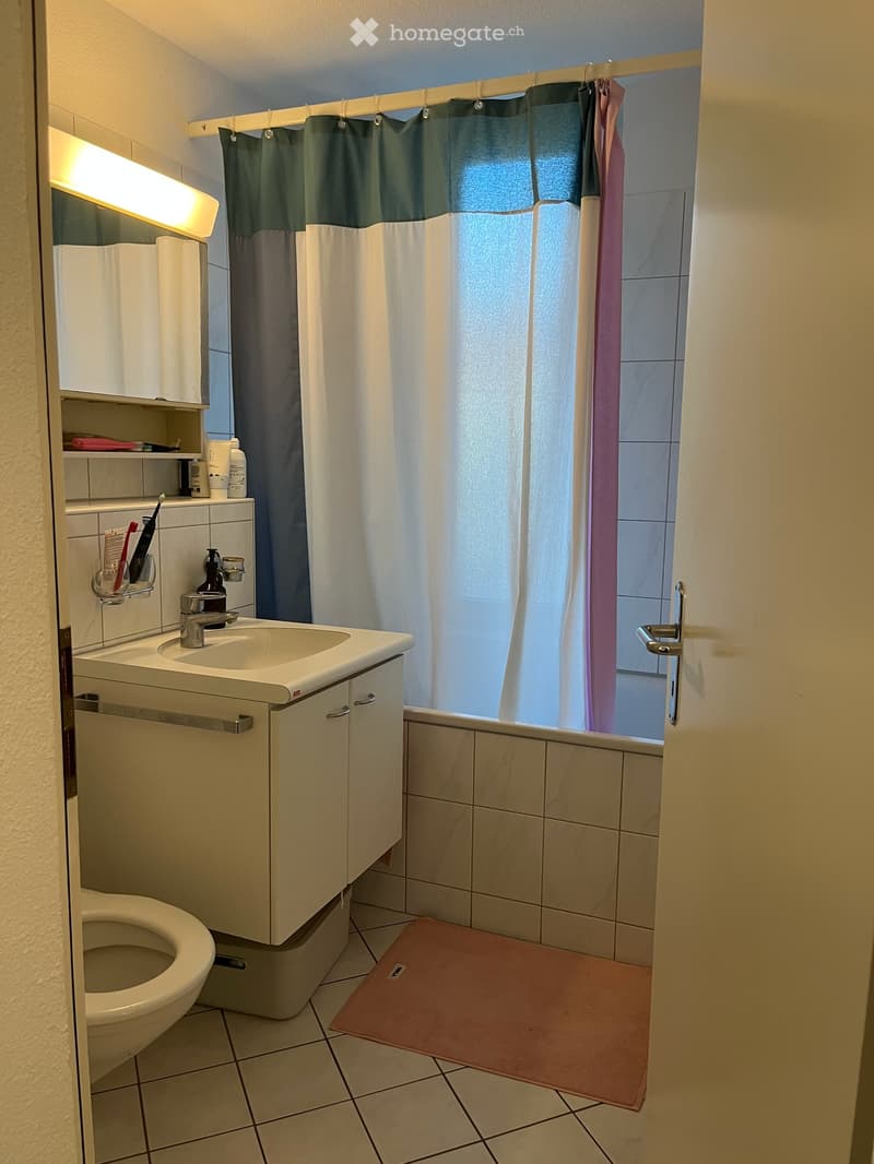 Möblierte 3-Zimmerwohnung in Wipkingen für 2.5 Monate zur Untermiete (3)