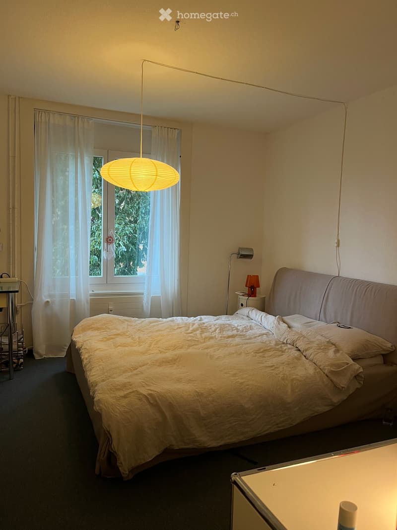 Möblierte 3-Zimmerwohnung in Wipkingen für 2.5 Monate zur Untermiete (2)