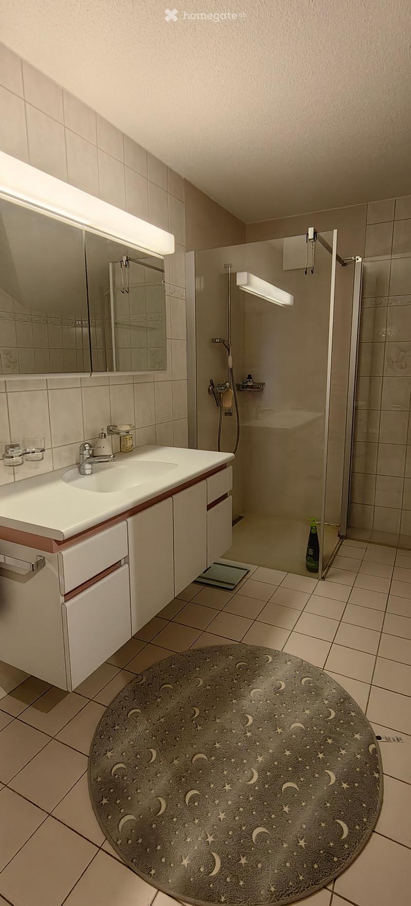 Modern bathroom with a white sink, mirror, shower, and a round toilet seat cover featuring a celestial design.