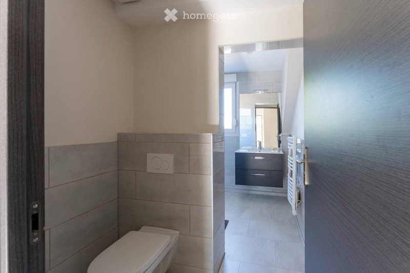 Modern bathroom with a toilet, sink, and mirror. The sink area features a dark grey cabinet with a modern design, and the walls are tiled in a combination of light and dark grey tiles.