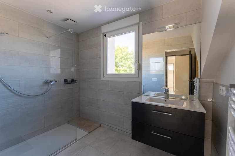 Modern bathroom with a glass-enclosed shower, a sink with a mirror, and a dark-colored cabinet.