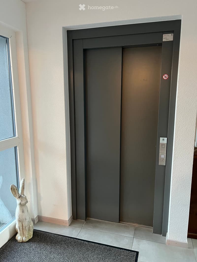 Elevator door in a hallway with a decorative rabbit statue near a window.