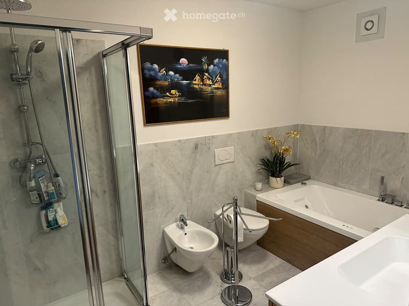 Modern bathroom with a glass-enclosed shower, toilet, bidet, bathtub, and sink. Includes a towel rack, shower rack with toiletries, a potted plant, and a decorative picture frame on the wall.