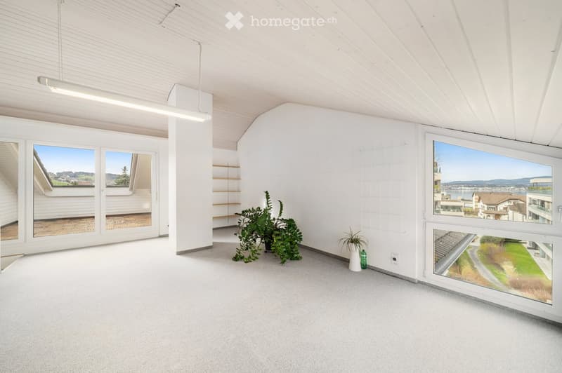 Bright, empty room with white walls, carpeted floor, large windows, and built-in shelving. Minimal decor with a small plant and bottle on the floor.