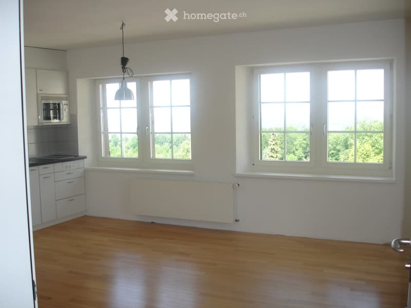 Empty room with wooden flooring, white walls, large windows, and a radiator. No furniture or equipment present.