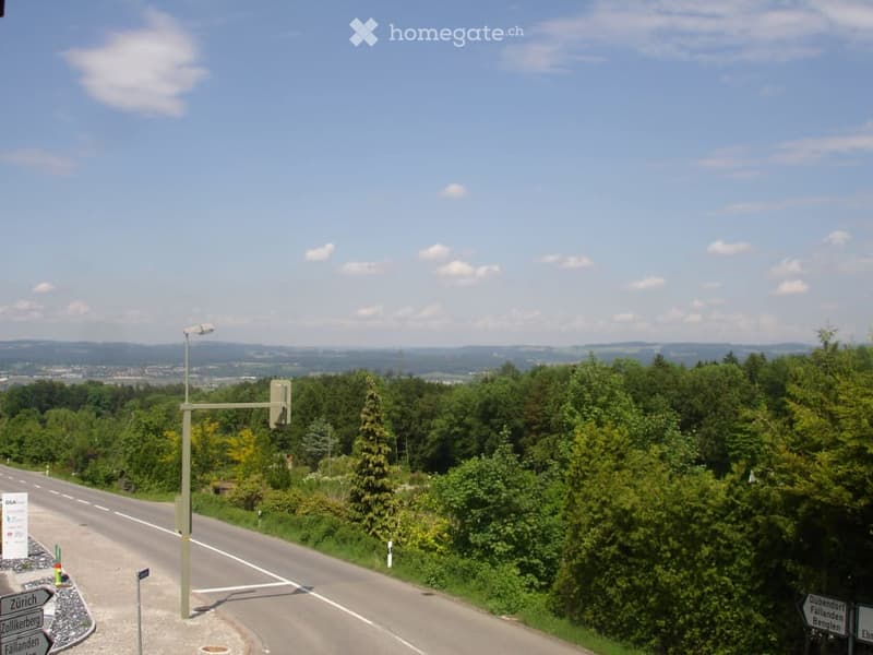 A scenic road surrounded by lush green trees and hills under a clear blue sky, with road signs visible.