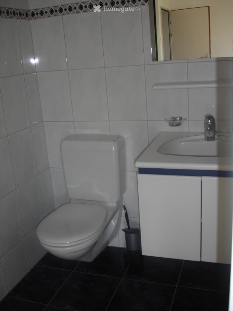 A small bathroom with a toilet, sink, and cabinet. The walls are tiled with light grey tiles, and the floor is dark grey. A mirror is mounted above the sink, and a small trash bin is placed next to the toilet.