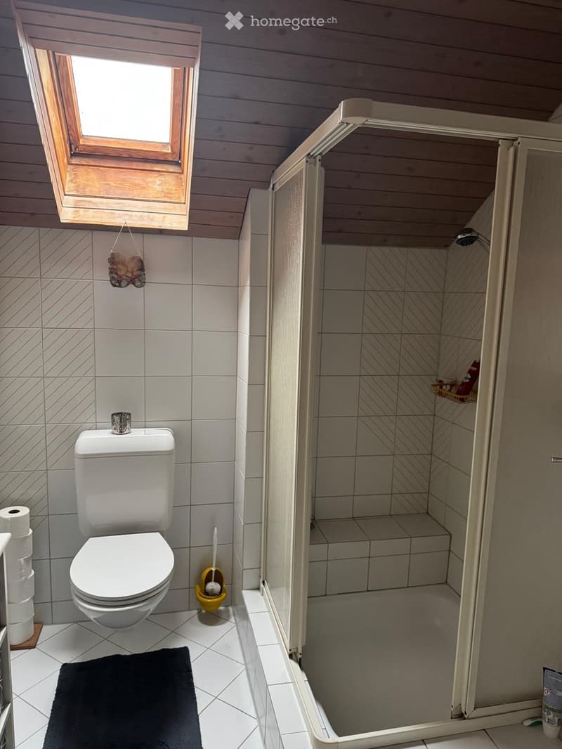 Modern bathroom with a toilet, toilet paper holder, shower stall, and a small window above the shower. Includes a toilet brush holder and a black bathroom rug.