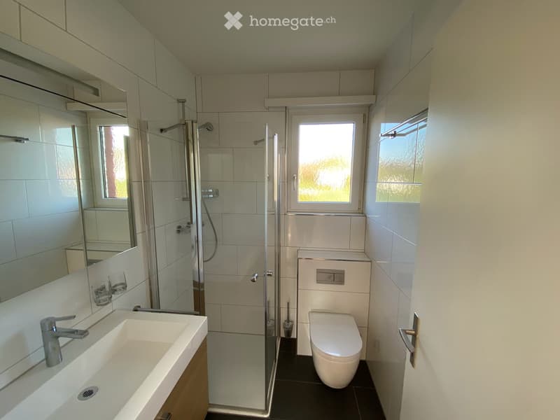 Grosszügige Attikawohnung mit attraktiver Terrasse (7)