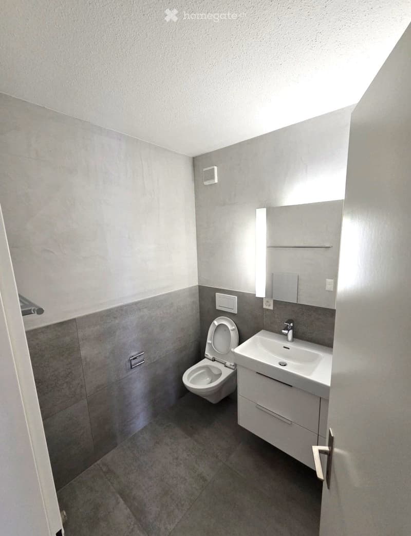 Modern bathroom with grey tiles, white sink, toilet, and a mirrored cabinet with shelves.