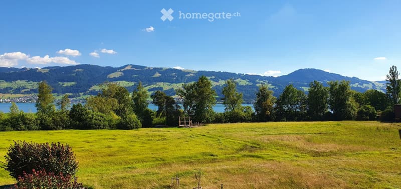 A lush green field with trees and a scenic mountain backdrop, featuring a lake in the distance under a clear blue sky.