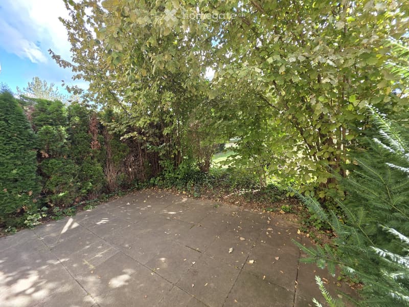 A paved pathway surrounded by lush greenery and trees, with a clear blue sky in the background.