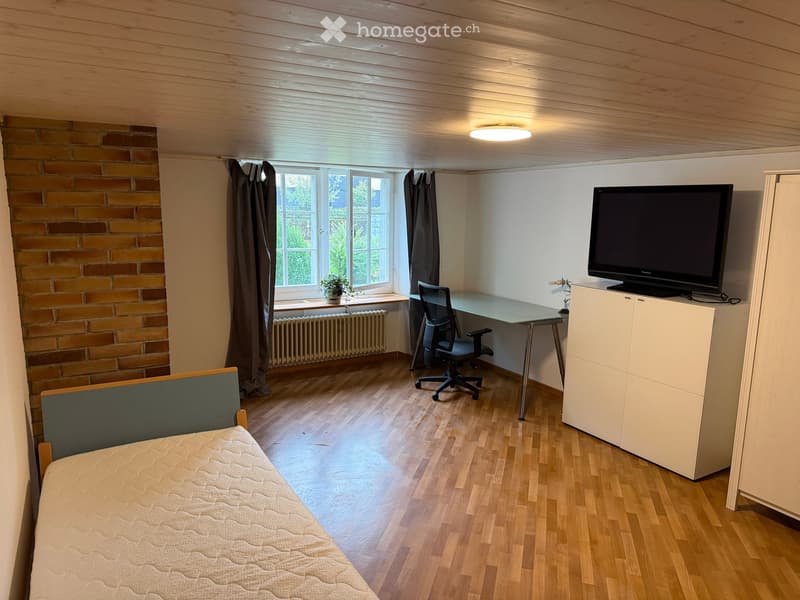 A furnished room with a bed, desk, chair, TV, cabinet, and a small plant on the windowsill. The room features wooden flooring, exposed brick wall, and large windows with curtains.