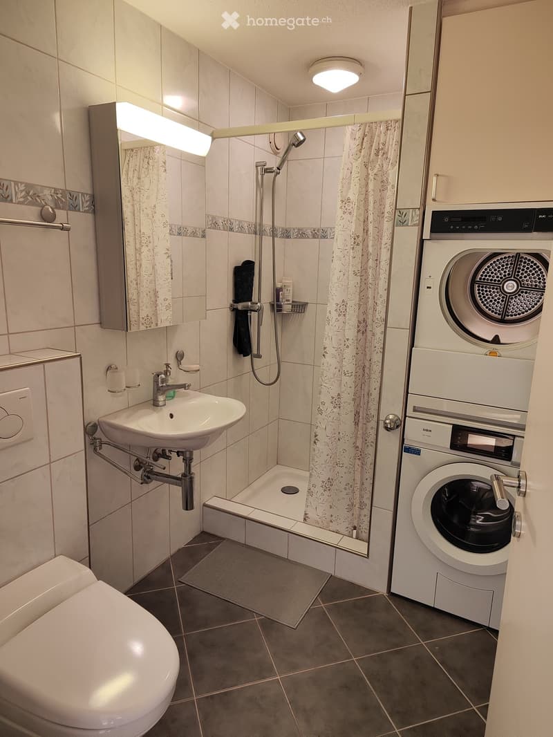 Bathroom with tiled walls and floor, shower enclosure, sink, toilet, and a washing machine and dishwasher installed in the room.