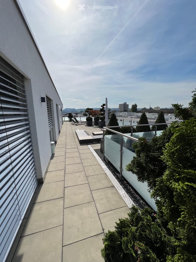 Modern rooftop terrace with concrete flooring, glass railing, lounge chairs, and potted plants, overlooking a cityscape.