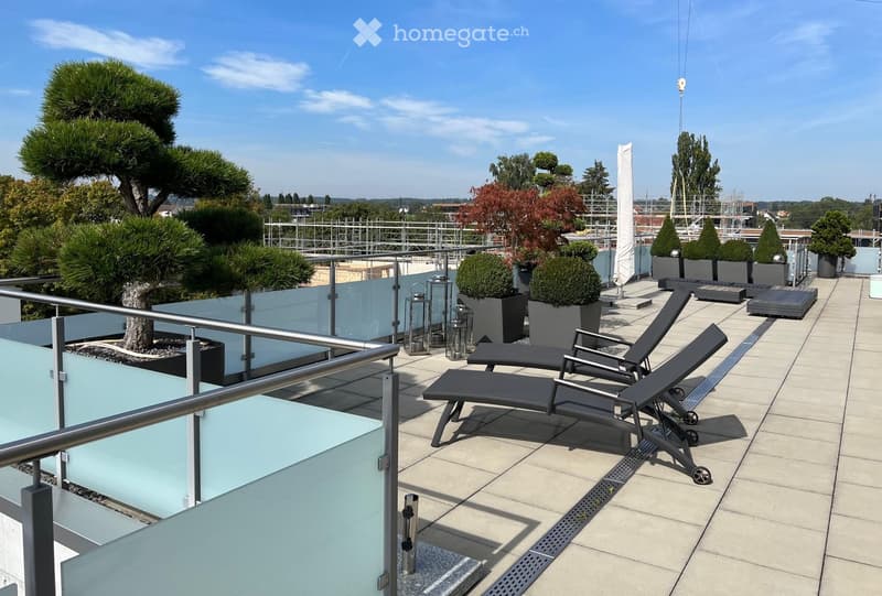 A modern rooftop terrace with sun loungers, potted plants, lanterns, and a glass railing overlooking a landscaped area.