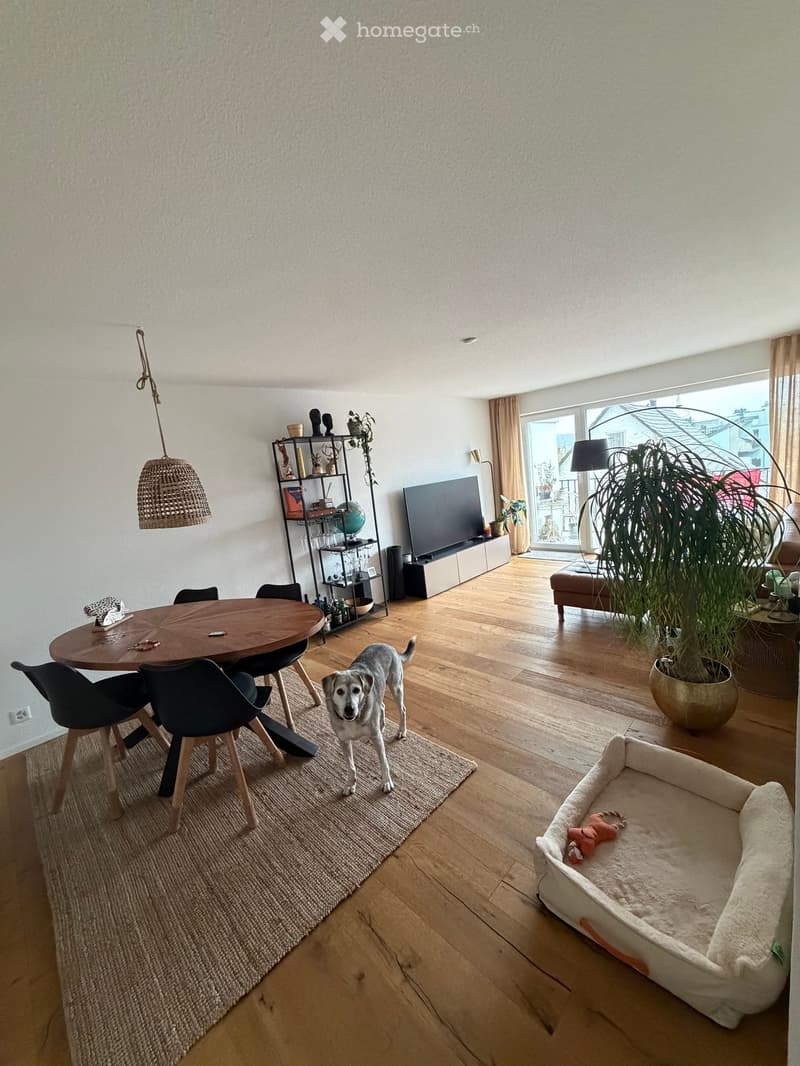 Bright living room with wooden flooring, a round wooden dining table with four black chairs, a sofa, a television on a stand, a hanging woven pendant light, a tall shelving unit with decorative items, and a large potted plant near the window. A dog is sta