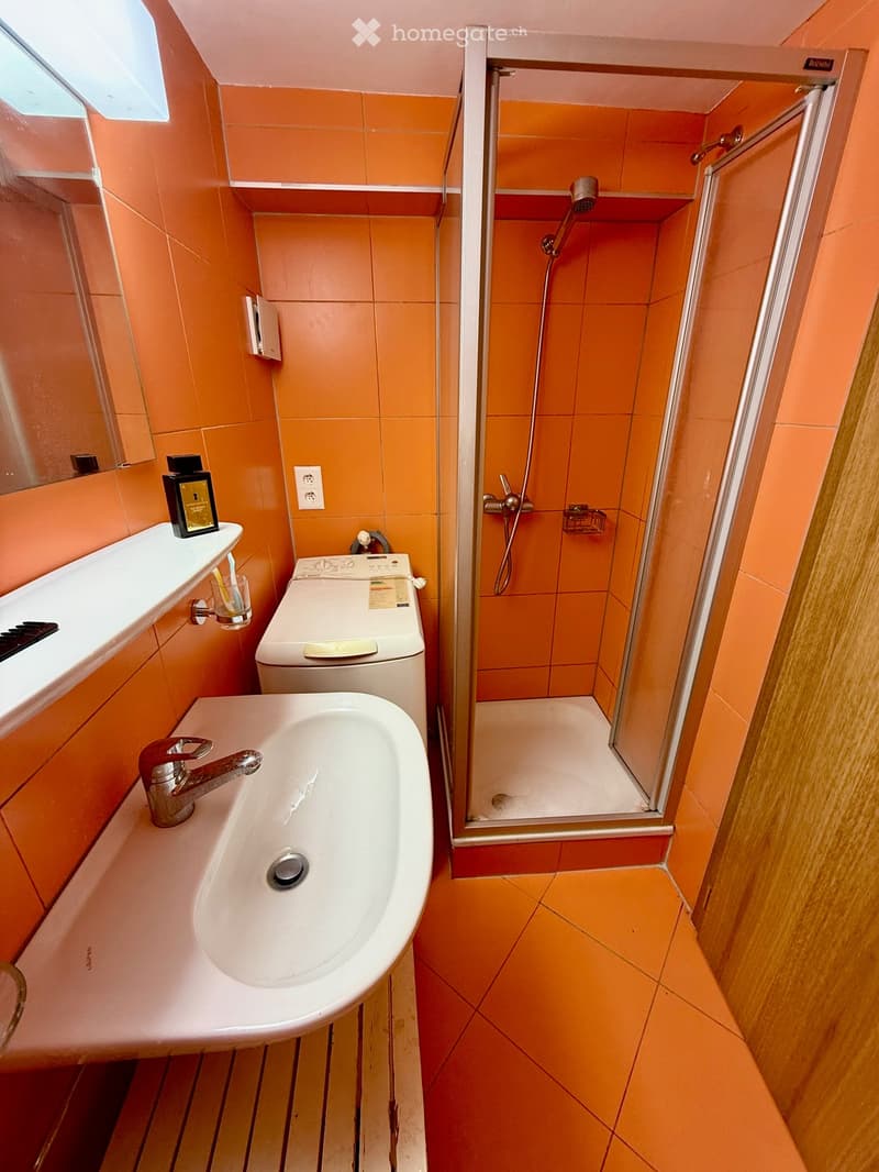 Modern bathroom with orange tiles, a white sink, a toilet, a shower with glass enclosure, and a shelf with toiletries.
