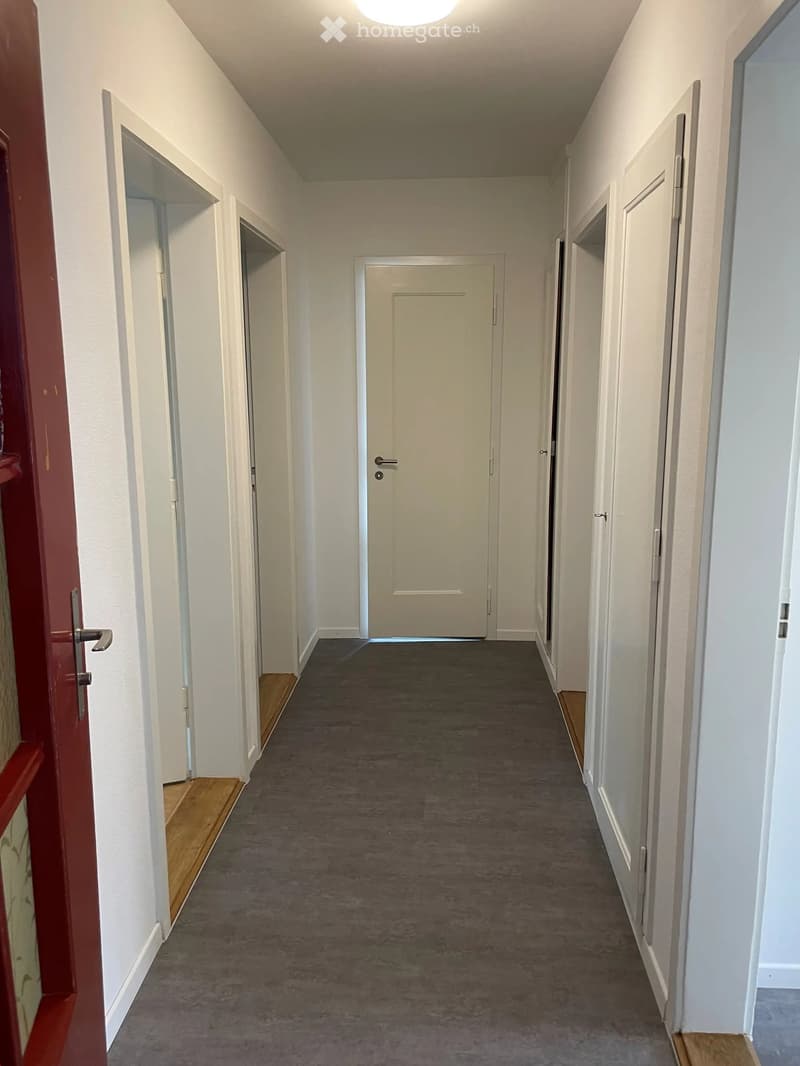 Empty hallway with white walls, grey carpeted floor, and multiple doors on both sides.