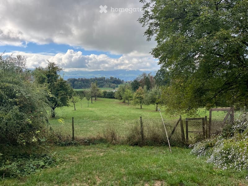 A peaceful garden with a wooden fence, lush green grass, and a scenic view of a valley and mountains in the background.