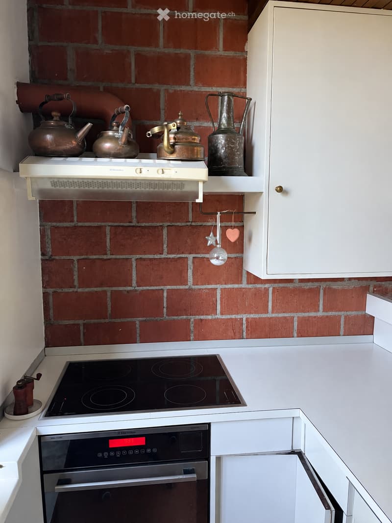 Modern kitchen with white cabinets, an induction stove, and an oven. The backsplash is made of red brick, and teapots are displayed on a shelf above the stove.