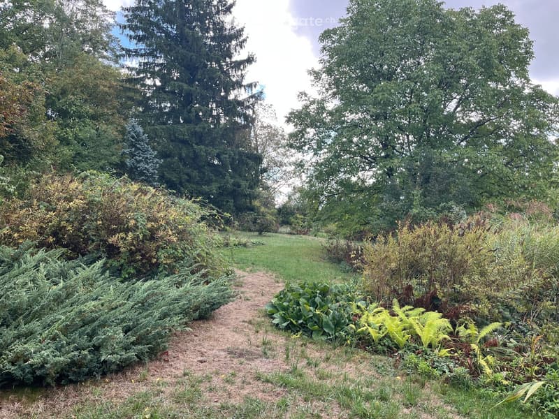 A garden path lined with various shrubs and trees leads to an open grassy area surrounded by dense foliage and tall trees.